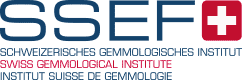 SSEF logo