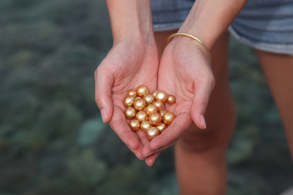 farming golden pearls