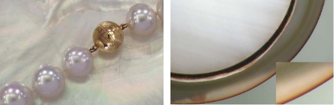 Research on Golden Cultured Pearls - SSEF